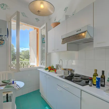 Azur - Happy * 카프다일