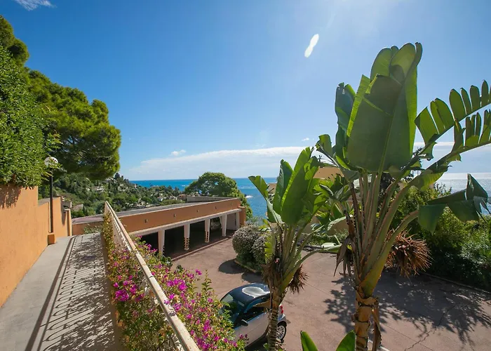 Azur - Happy カップダイユ